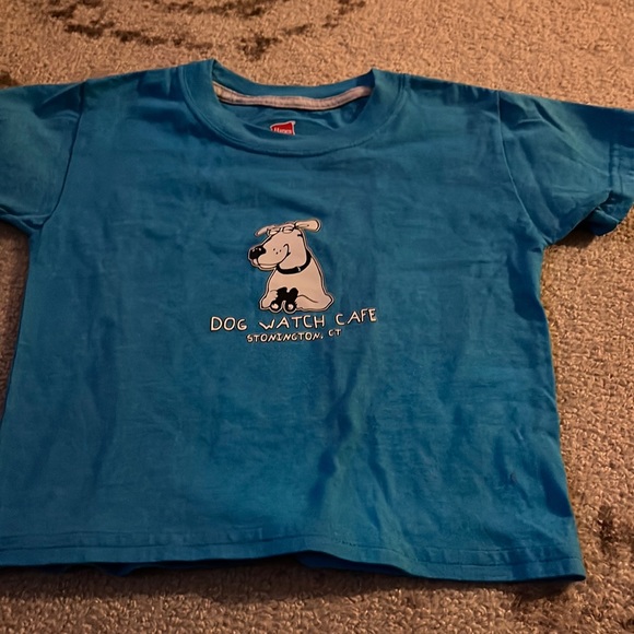 Hanes Other - Tshirt